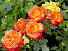 あとりえティストウのブログ