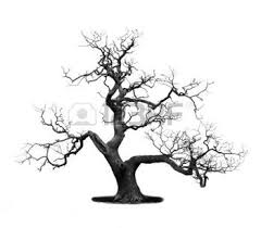 Article précédent comment dessiner un oiseau avec paolo morrone. Arbre Mort Banque D Images Vecteurs Et Illustrations Libres De Droits Arbre Mort Peinture Arbre Arbre Noir Et Blanc