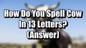 Cow In 13 Letters How To Spell Write Cow In 13 Letters Answer