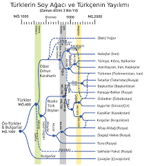 Turklerin Soyagaci Ve Turkce Nin Yayilisi 3000 Yillik 2020 Temel Matematik Egitim Tarihi Infografik