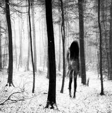Alone In The Woods Creepy Photography Dark Tree Creepy