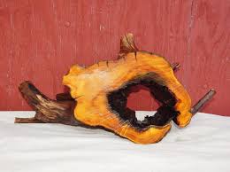 Aquarium Driftwood Cave Centerpiece Bodark Wood Osage Orange Gobblersknobbdriftwood Aquarium Driftwood Driftwood Osage