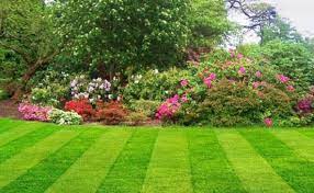 Top Tips For How To Build A New Lawn