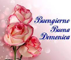 Buongiorno Buona Domenica Messaggi Di Buon Compleanno Messaggio Di Compleanno Auguri Di Buongiorno