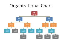 company structure template online charts collection