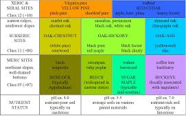Image result for Rhynchosia tricuspidata