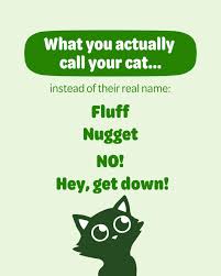 What's your pets name vs. what you actually call them? 👇