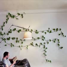 Natural Wall Art Tie Fishing Line Across A Wall And Let The Plant Grow Wall Climbing Plants Indoor Vines Indoor Climbing Plants