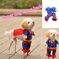 Super Dog Costume Cute Animals Pet Costumes Animals