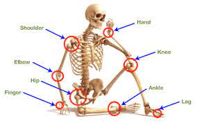 Types Of Joints Javatpoint
