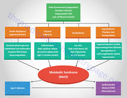 the metabolic syndrome syndrome x links to early