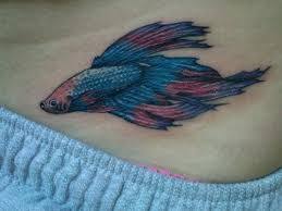 Betta Fish Tattoos And Design Ideas Betta Fish Tattoo Betta Tattoo Tattoos