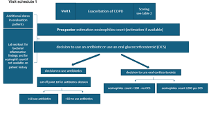 Image result for COPD Exacerbation Decision Tool