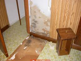 Consequently, you need to fill any gaps between wood paneling and drywall with a caulk that will allow the two different materials to expand or. Moldy Wall Paneling How To Find Hidden Mold Behind Paneling In Buildings Looking For Hidden Mold A How To Photo And Text Primer On Finding Mold In Buildings