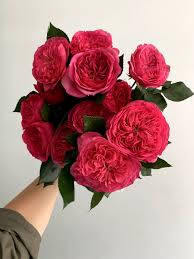 Callas have always been the elegant favorite, but who knew they would go so well with roses too? Baronesse Garden Roses Pink Garden Best Flower Wallpaper Pretty Flowers