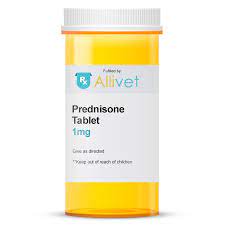 Prednisone Tablet Allivet