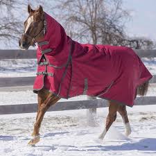 Canadian Horsewear Diablo Turnout Burgundy 300 Gm Fill