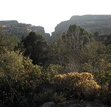 Maybe you would like to learn more about one of these? Tonto National Forest Upper Canyon Creek Campground