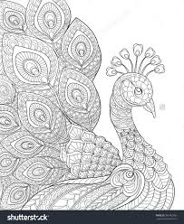 Free coloring pages for children and adults. Peacock Coloring Pages