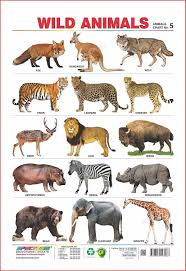 Set Of 5 Educational Wall Charts Domestic Animals Wild