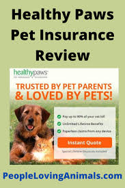 Get a side by side comparison chart of coverage & benefits, plus a helpful breakdown of key differences. Healthy Paws Pet Insurance Review Pet Insurance Reviews Pet Insurance Pet Health Insurance