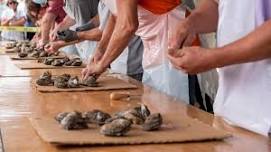 North Carolina Oyster Festival