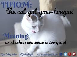 Subscribe for new idiom videos. Idiom The Cat Got Your Tongue