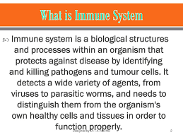 Check spelling or type a new query. Immune System Structure And Functions