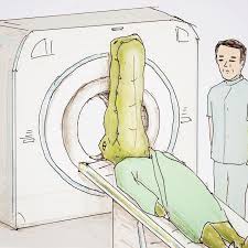 20 Problems Of A Crocodile Hilariously Illustrated By Japanese Artist Keigo Ilustracao Engracada Crocodilo Memes Engracados