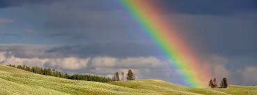 Komm, lass uns die welt bemalen. Die Richtige Reihenfolge Der Sieben Regenbogenfarben