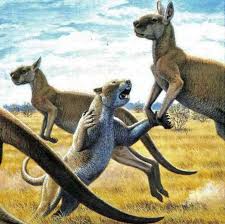 A Marsupial Lion Attacking A Giant Short Faced Kangaroo Thylacoleo Carnifex Is An Extinct Species Of Prehistoric Animals Extinct Animals Prehistoric Wildlife