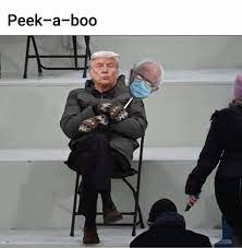 Pin By Jen Smith Batch On Bernie In 2021 Funny Make Me Smile Lol