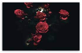 Dark Roses Hd Wallpaper For 4k Uhd Widescreen Desktop Smartphone Dark Red Wallpaper 2048x1152 Wallpapers Rose Wallpaper