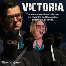 The head of Victoria Police's anti-bikie taskforce would support any new  law wiping outlaw bikie gangs from existence. #melbourne #victoria #bikies  #truecrime #echotaskforce