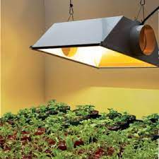 High intensity discharge grow lights have been one of the most popular forms of grow light over the last number of years. Hid Vs Cfl Vs Led Which Grow Lights Are Best For You Hydronz New Zealand S Hydroponics Retailer
