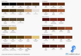 shades of brunette hair color chart hair color