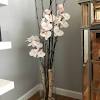 Trust uk leading artificial flowers specialists decoflora. 1