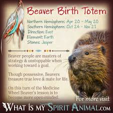 Native American Zodiac Astrology Birth Signs Totems