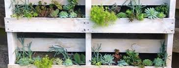 Check spelling or type a new query. Diy Pallet Wall Planter Palmers Garden Centre