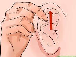 3 Ways To Read An Ear Reflexology Chart Wikihow