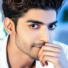 Professor of pathology and molecular medicine. Gurmeet Choudhary Family Biography Wife Movies Tv Shows Or More