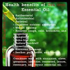 Health Benefits Of Tea Tree Essential Oil For More Health Tips Visit Www Body In Balance Org Tea Health Benefits Tea Tree Essential Oil Thyme Essential Oil