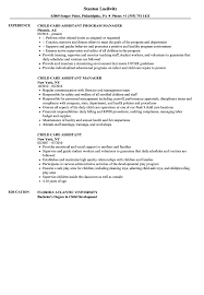 child care assistant resume samples