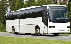 There are a few considerations that you need to have in mind before you rent the bus. 2021 Party Busy Prices How Much Is A Party Bus Thumbtack
