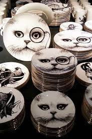 Pin By Rosana Gonzalez On Cat Style Crazy Cat Lady Cat Decor Cat Lady