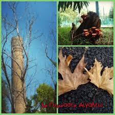 Αποτέλεσμα εικόνας για φωτο πυριτιδοποιειου