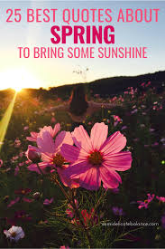 More happiness quotes and sayings. 25 Best Quotes About Spring To Bring Some Sunshine To Your Life