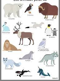 Animale Polare JoacÄƒ Gratuit Jigsaw Puzzle La Puzzle Factory