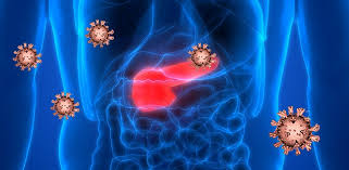 Coronavirus Kann Diabetes Auslosen Neue Hinweise Auf Schadigung Der Insulinproduzierenden Zellen Durch Sars Cov 2 Scinexx De