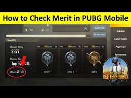 How To Check Merit In Pubg Mobile 2020 Youtube